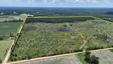 Recreational Property in Worth County, Georgia