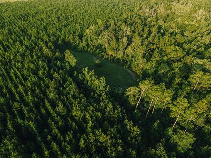 Ranch Property for sale in Calhoun County, Florida