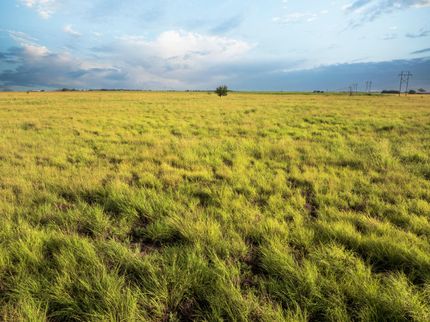 Farm Property for sale in Hockley County, Texas