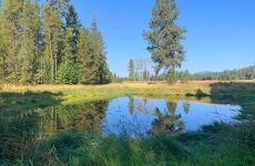 Undeveloped Land for sale in Sanders County, Montana
