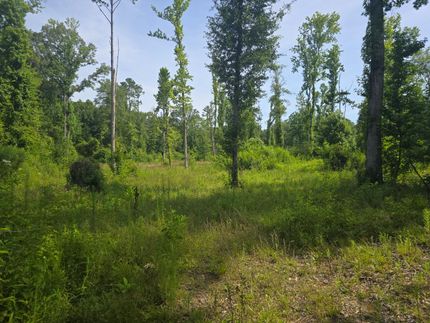 Recreational Property for sale in Wilkinson County, Mississippi