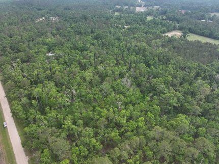 Farm Property in Madison County, Florida