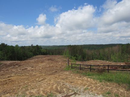 Farm Property for sale in Winston County, Alabama