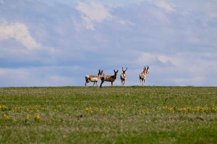 Farm Property for sale in Fergus County, Montana
