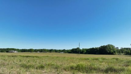 Farm Property for sale in Houston County, Alabama