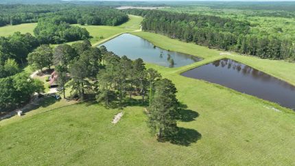 Farm Property for sale in Barbour County, Alabama