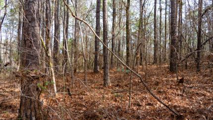 Property for sale in Shelby County, Alabama