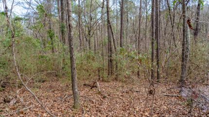 Ranch Property for sale in Shelby County, Alabama