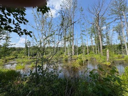 Ranch Property for sale in Isle of Wight County, Virginia