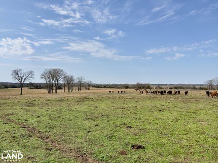 Ranch Property for sale in Marengo County, Alabama