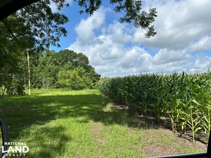 Ranch Property for sale in Clarendon County, South Carolina