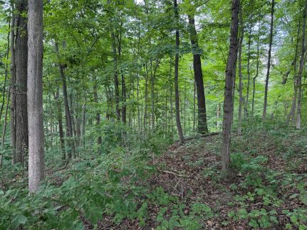 Ranch Property for sale in Owen County, Indiana