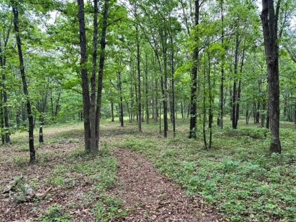 Ranch Property for sale in Van Buren County, Arkansas