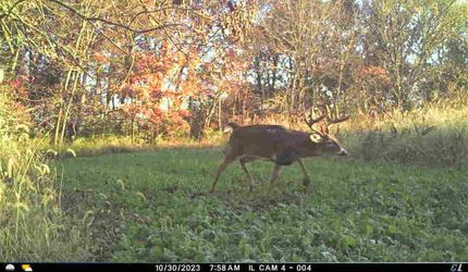 Farm Property in Brown County, Illinois