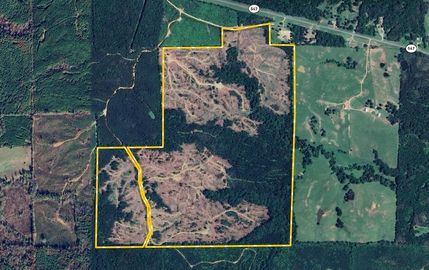 Farm Property in Claiborne County, Mississippi