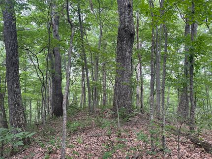 Residential Property for sale in Wayne County, West Virginia