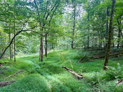 Farm Property for sale in Boone County, West Virginia
