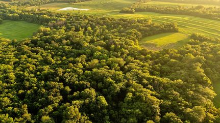 Farm Property for sale in Daviess County, Missouri