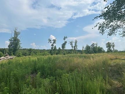 Ranch Property for sale in King and Queen County, Virginia
