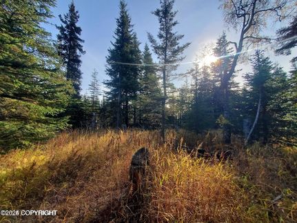 Farm Property for sale in Kenai Peninsula Borough, Alaska
