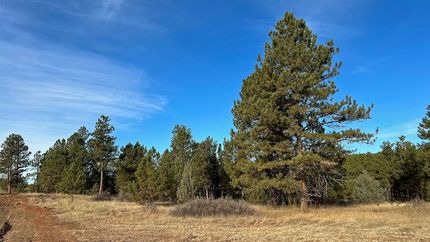 Timberland Property for sale in Custer County, South Dakota