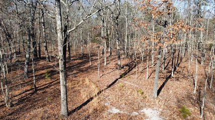 Farm Property for sale in Shannon County, Missouri