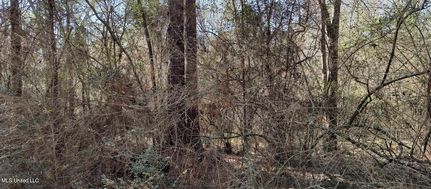 Farm Property for sale in Pearl River County, Mississippi