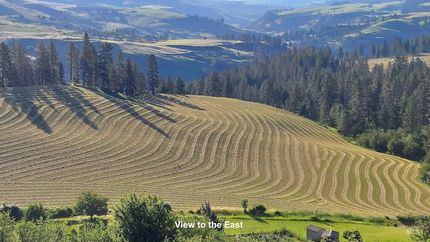 Undeveloped Land for sale in Nez Perce County, Idaho