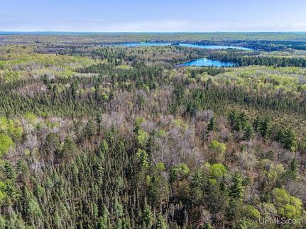 Farm Property for sale in Gogebic County, Michigan