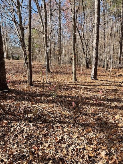 Farm Property for sale in Mecklenburg County, Virginia