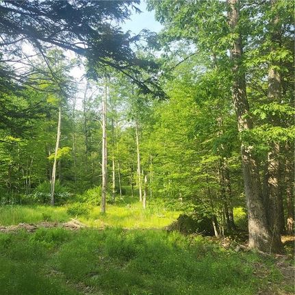 Ranch Property for sale in Sullivan County, New York