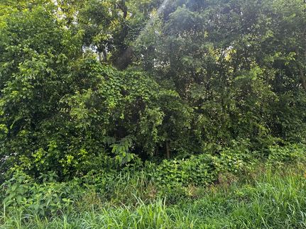 Recreational Property for sale in Hamblen County, Tennessee