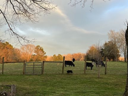 Ranch Property for sale in Hickman County, Tennessee