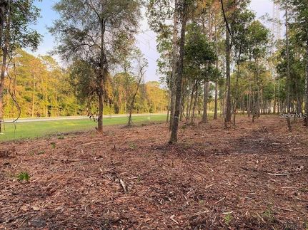 Farm Property for sale in Flagler County, Florida