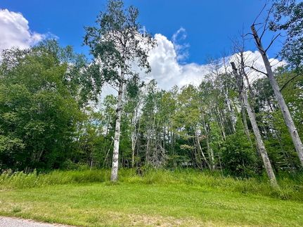 Farm Property for sale in Chippewa County, Michigan