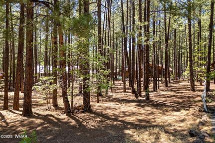 Residential Property for sale in Navajo County, Arizona