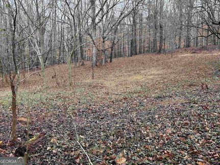 Undeveloped Land for sale in Jackson County, Georgia
