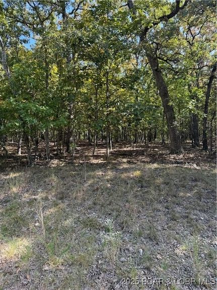 Farm Property for sale in Camden County, Missouri
