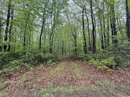 Timberland Property for sale in Monroe County, Pennsylvania