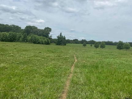 Recreational Property for sale in Camp County, Texas