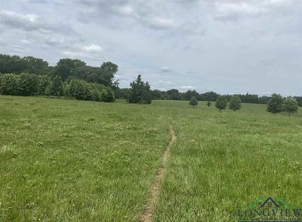 Recreational Property for sale in Camp County, Texas