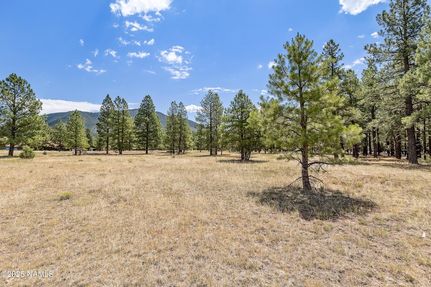 Residential Property for sale in Coconino County, Arizona