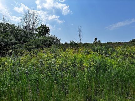 Timberland Property for sale in Jefferson County, New York