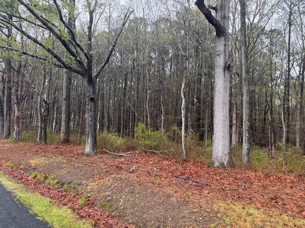 Residential Property for sale in Accomack County, Virginia