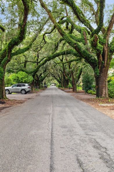 Farm Property for sale in Charleston County, South Carolina