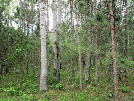 Ranch Property for sale in Burnett County, Wisconsin