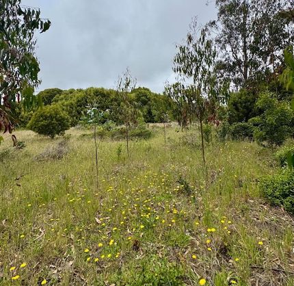 Ranch Property for sale in San Mateo County, California