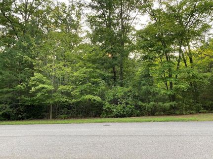 Ranch Property for sale in Pittsylvania County, Virginia