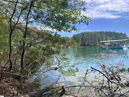 Undeveloped Land for sale in Oconee County, South Carolina