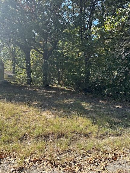 Undeveloped Land for sale in Hunt County, Texas